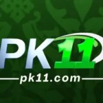 PK11 game