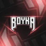 boyka panel