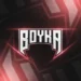 boyka panel